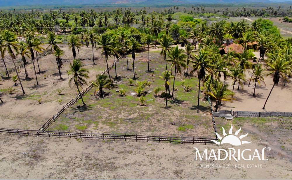 Lote en venta frente al mar de 3885 m2 en Playa Blanca Zihuatanejo