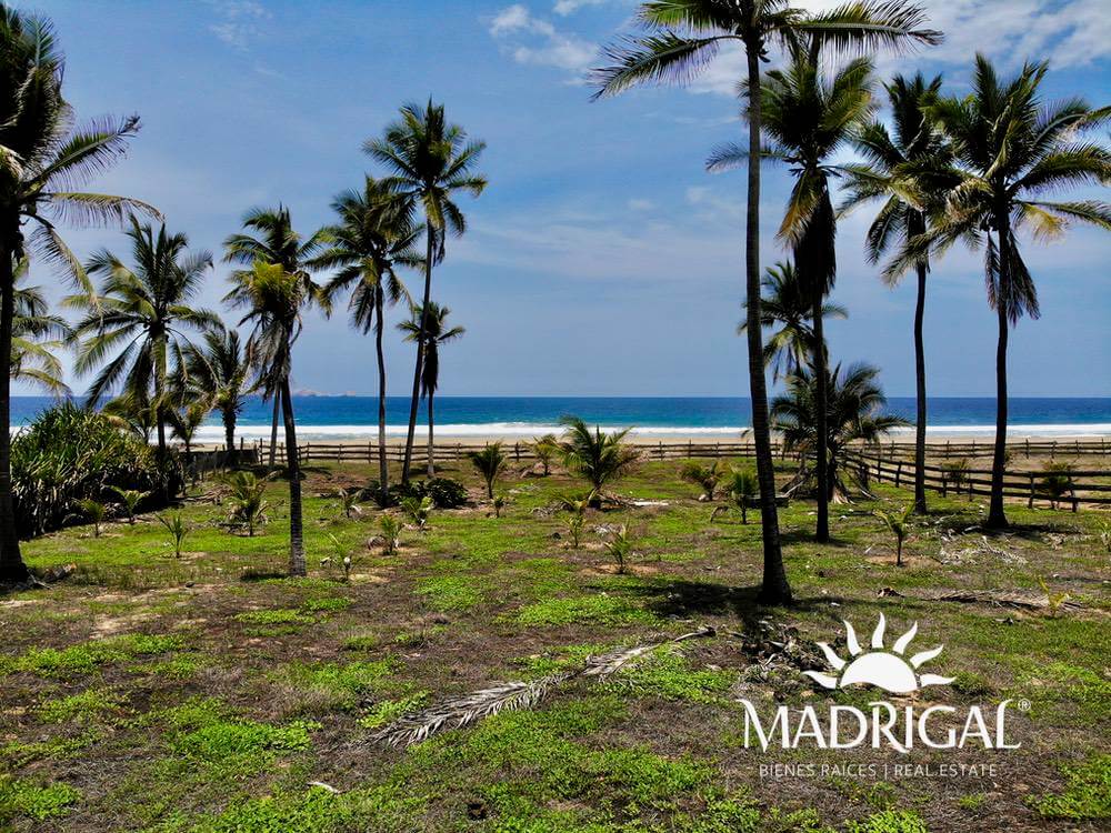 Oceanfront lot for sale, 3885 m2, Playa Blanca, Zihuatanejo